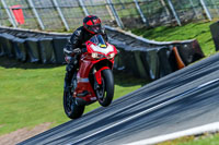 Oulton-Park-20th-March-2020;PJ-Motorsport-Photography-2020;anglesey;brands-hatch;cadwell-park;croft;donington-park;enduro-digital-images;event-digital-images;eventdigitalimages;mallory;no-limits;oulton-park;peter-wileman-photography;racing-digital-images;silverstone;snetterton;trackday-digital-images;trackday-photos;vmcc-banbury-run;welsh-2-day-enduro